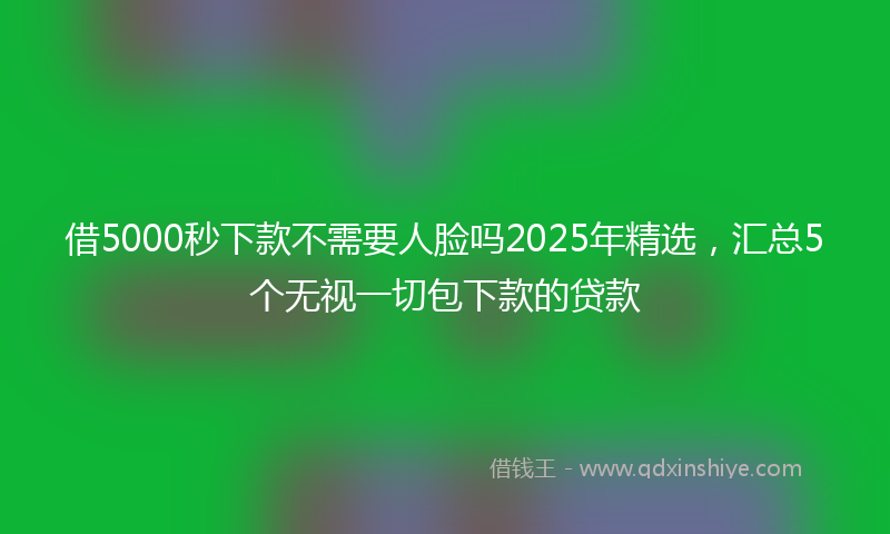 借5000秒下款不需要人脸吗2025年精选，汇总5个无视一切包下款的贷款