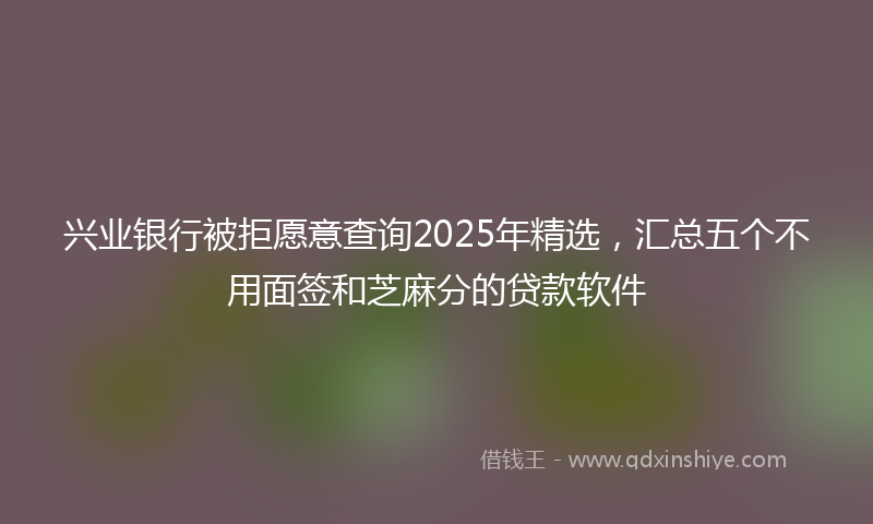 兴业银行被拒愿意查询2025年精选，汇总五个不用面签和芝麻分的贷款软件
