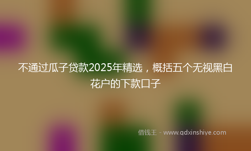 不通过瓜子贷款2025年精选,概括五个无视黑白花户的下款口子