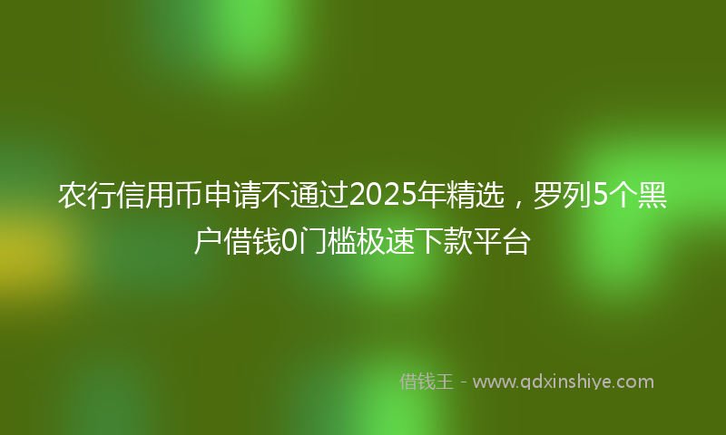 农行信用币申请不通过2025年精选，罗列5个黑户借钱0门槛极速下款平台