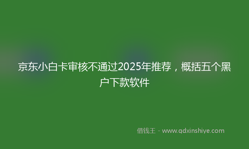 京东小白卡审核不通过2025年推荐，概括五个黑户下款软件
