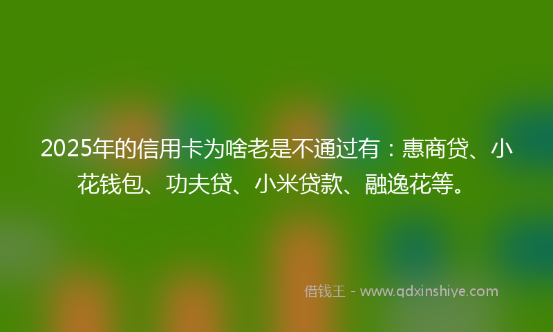 2025年的信用卡为啥老是不通过有：惠商贷、小花钱包、功夫贷、小米贷款、融逸花等。