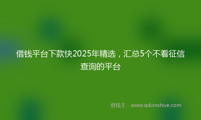 借钱平台下款快2025年精选，汇总5个不看征信查询的平台