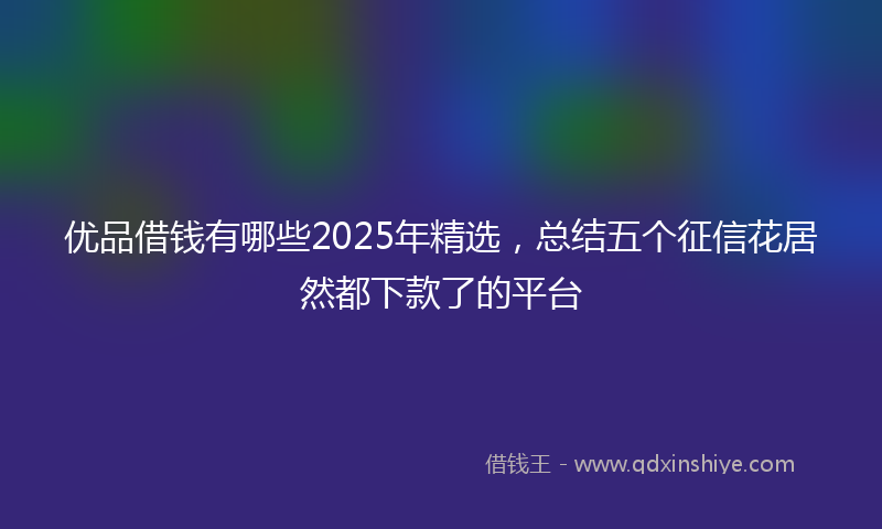 优品借钱有哪些2025年精选，总结五个征信花居然都下款了的平台