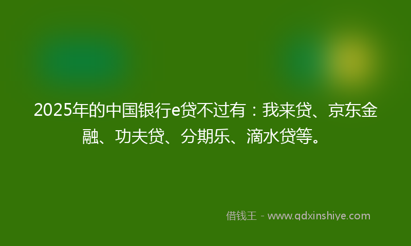 2025年的中国银行e贷不过有:我来贷、京东金融、功夫贷、分期乐、滴水贷等。