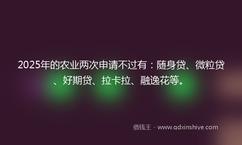 2025年的农业两次申请不过有：随身贷、微粒贷、好期贷、拉卡拉、融逸花等。