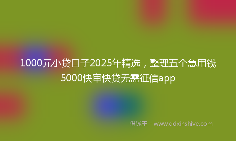 1000元小贷口子2025年精选，整理五个急用钱5000快审快贷无需征信app