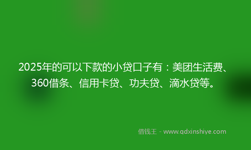 2025年的可以下款的小贷口子有：美团生活费、360借条、信用卡贷、功夫贷、滴水贷等。