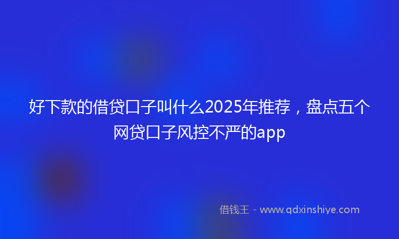 好下款的借贷口子叫什么2025年推荐，盘点五个网贷口子风控不严的app