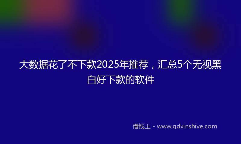 大数据花了不下款2025年推荐，汇总5个无视黑白好下款的软件