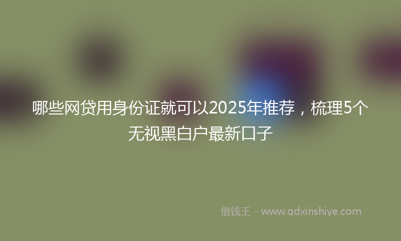 哪些网贷用身份证就可以2025年推荐，梳理5个无视黑白户最新口子