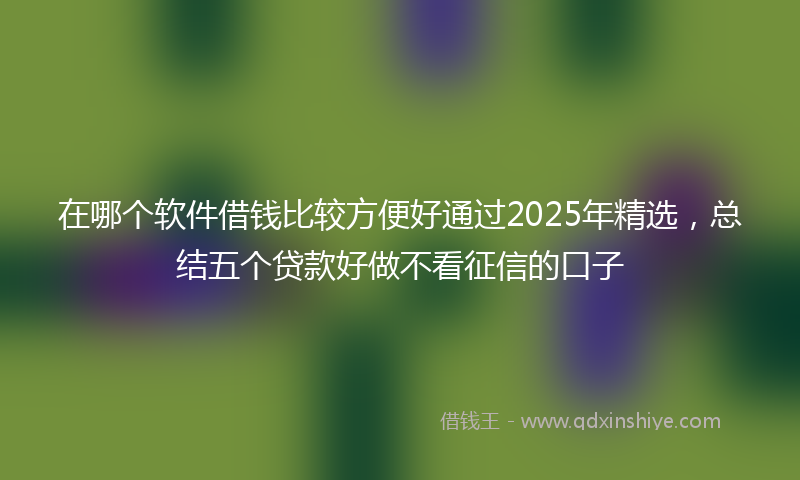 在哪个软件借钱比较方便好通过2025年精选，总结五个贷款好做不看征信的口子