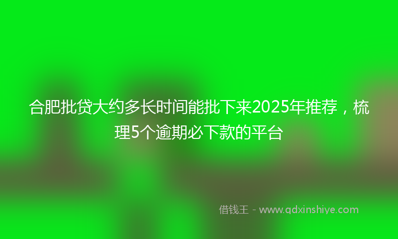合肥批贷大约多长时间能批下来2025年推荐，梳理5个逾期必下款的平台
