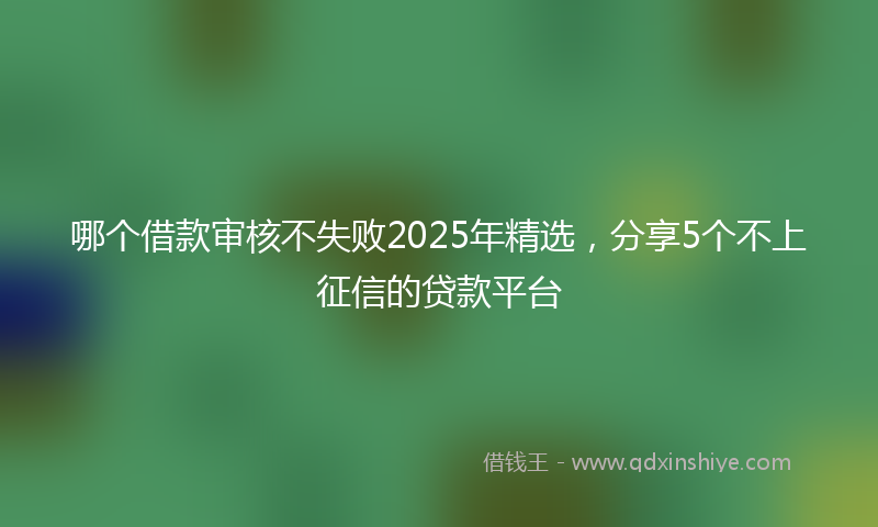 哪个借款审核不失败2025年精选，分享5个不上征信的贷款平台