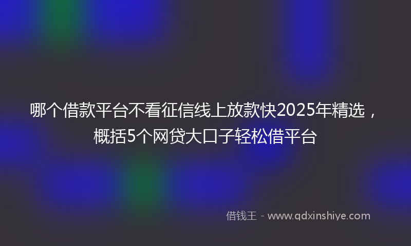哪个借款平台不看征信线上放款快2025年精选，概括5个网贷大口子轻松借平台