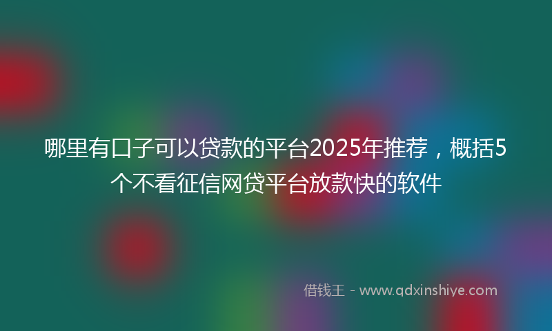 哪里有口子可以贷款的平台2025年推荐，概括5个不看征信网贷平台放款快的软件