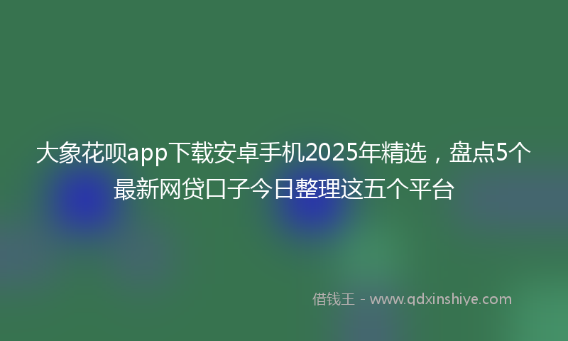 大象花呗app下载安卓手机2025年精选，盘点5个最新网贷口子今日整理这五个平台