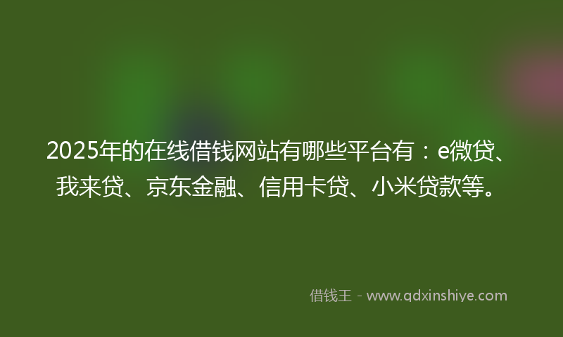 2025年的在线借钱网站有哪些平台有：e微贷、我来贷、京东金融、信用卡贷、小米贷款等。