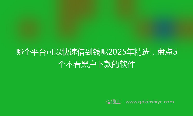 哪个平台可以快速借到钱呢2025年精选，盘点5个不看黑户下款的软件