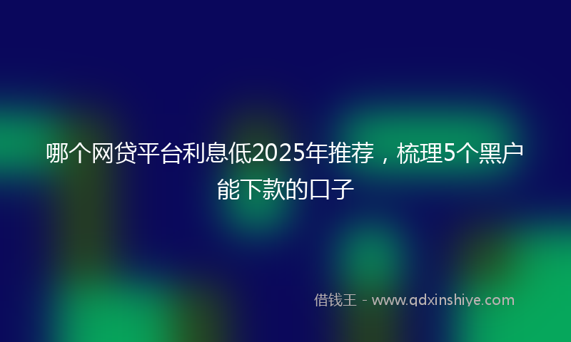 哪个网贷平台利息低2025年推荐，梳理5个黑户能下款的口子