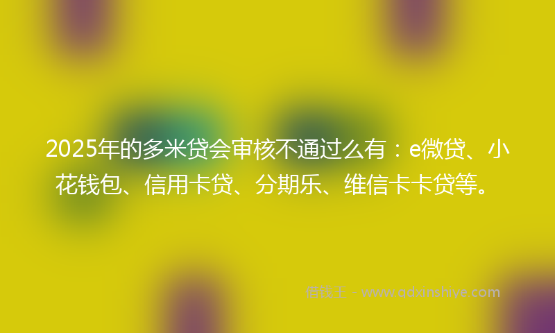 2025年的多米贷会审核不通过么有：e微贷、小花钱包、信用卡贷、分期乐、维信卡卡贷等。