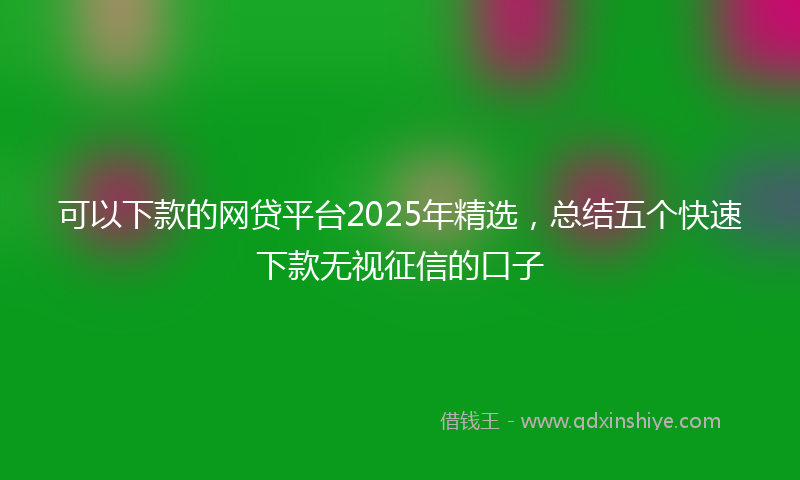 可以下款的网贷平台2025年精选，总结五个快速下款无视征信的口子