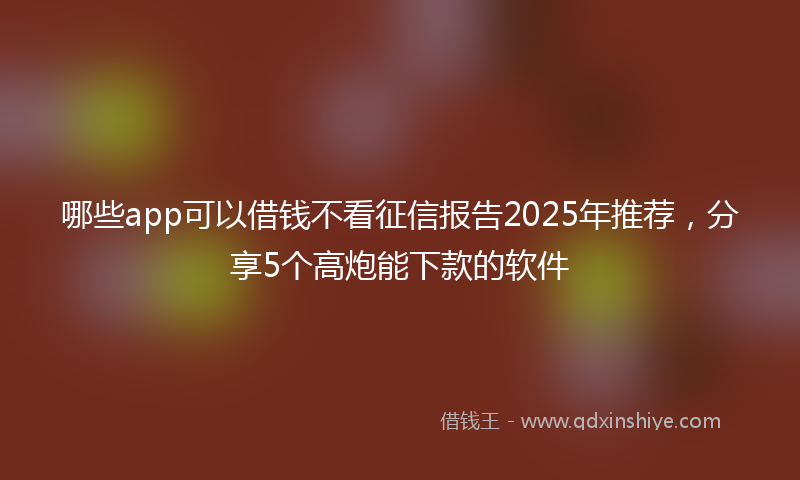 哪些app可以借钱不看征信报告2025年推荐，分享5个高炮能下款的软件