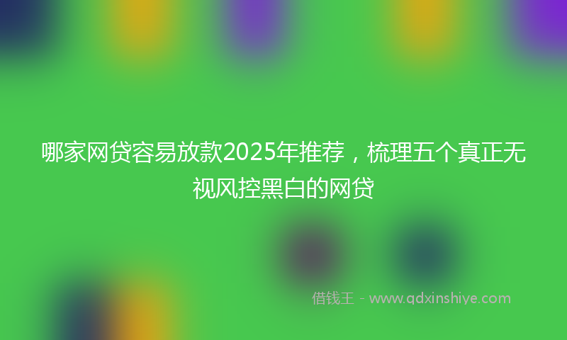 哪家网贷容易放款2025年推荐，梳理五个真正无视风控黑白的网贷