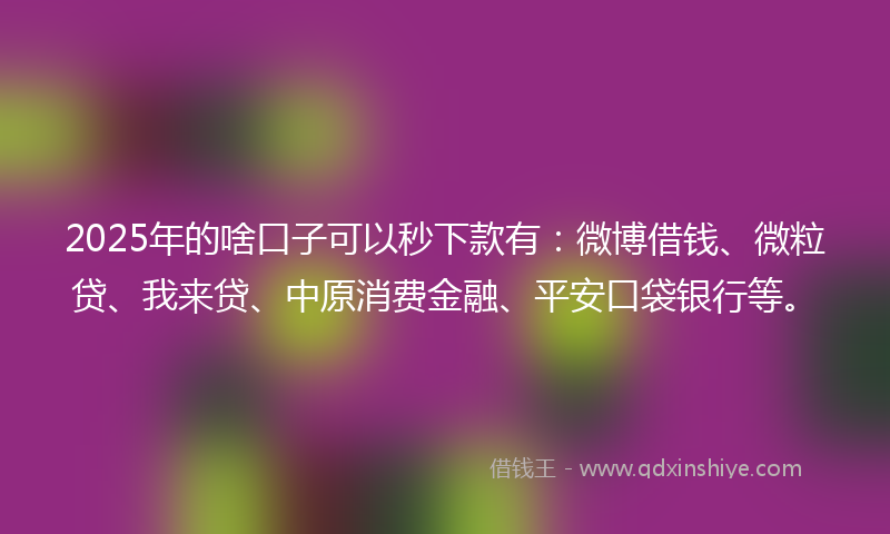 2025年的啥口子可以秒下款有：微博借钱、微粒贷、我来贷、中原消费金融、平安口袋银行等。