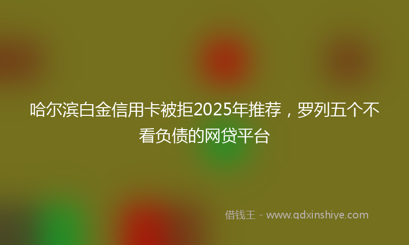 哈尔滨白金信用卡被拒2025年推荐，罗列五个不看负债的网贷平台