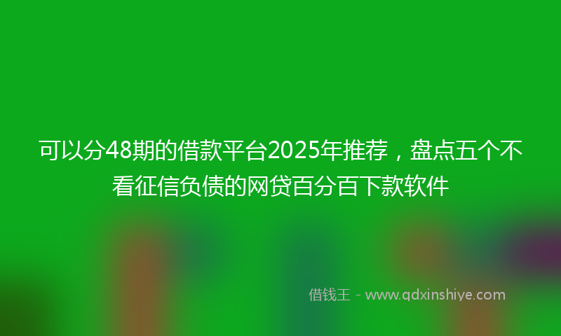 可以分48期的借款平台2025年推荐，盘点五个不看征信负债的网贷百分百下款软件