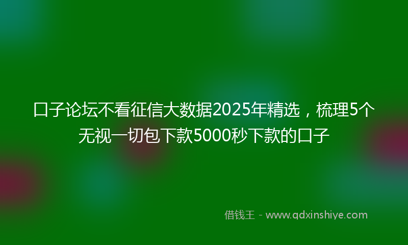 口子论坛不看征信大数据2025年精选，梳理5个无视一切包下款5000秒下款的口子