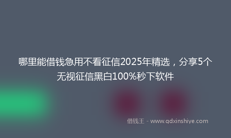 哪里能借钱急用不看征信2025年精选，分享5个无视征信黑白100%秒下软件