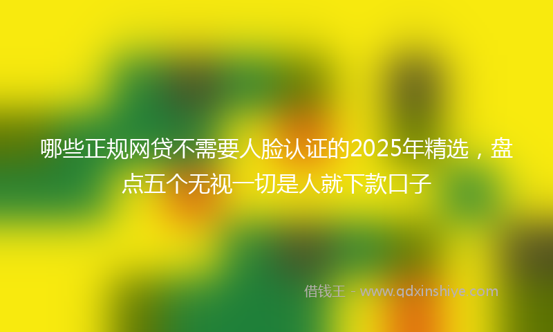 哪些正规网贷不需要人脸认证的2025年精选，盘点五个无视一切是人就下款口子