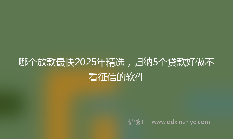 哪个放款最快2025年精选，归纳5个贷款好做不看征信的软件