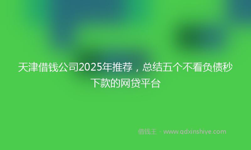 天津借钱公司2025年推荐，总结五个不看负债秒下款的网贷平台