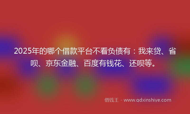 2025年的哪个借款平台不看负债有：我来贷、省呗、京东金融、百度有钱花、还呗等。