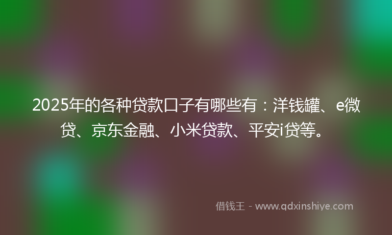 2025年的各种贷款口子有哪些有：洋钱罐、e微贷、京东金融、小米贷款、平安i贷等。