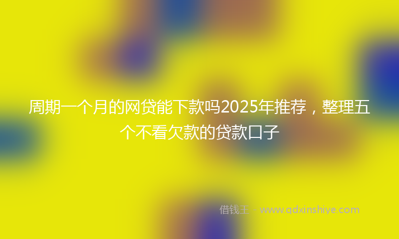 周期一个月的网贷能下款吗2025年推荐，整理五个不看欠款的贷款口子