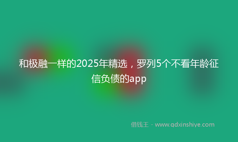 和极融一样的2025年精选，罗列5个不看年龄征信负债的app