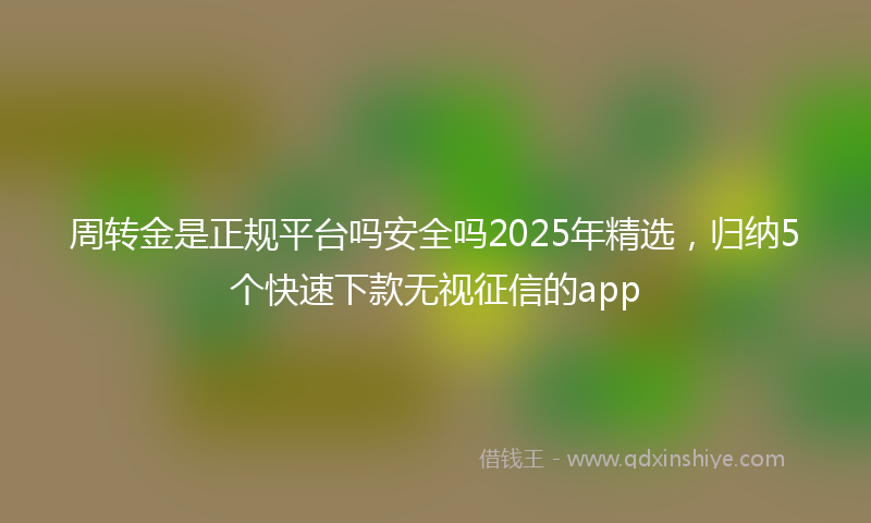 周转金是正规平台吗安全吗2025年精选，归纳5个快速下款无视征信的app