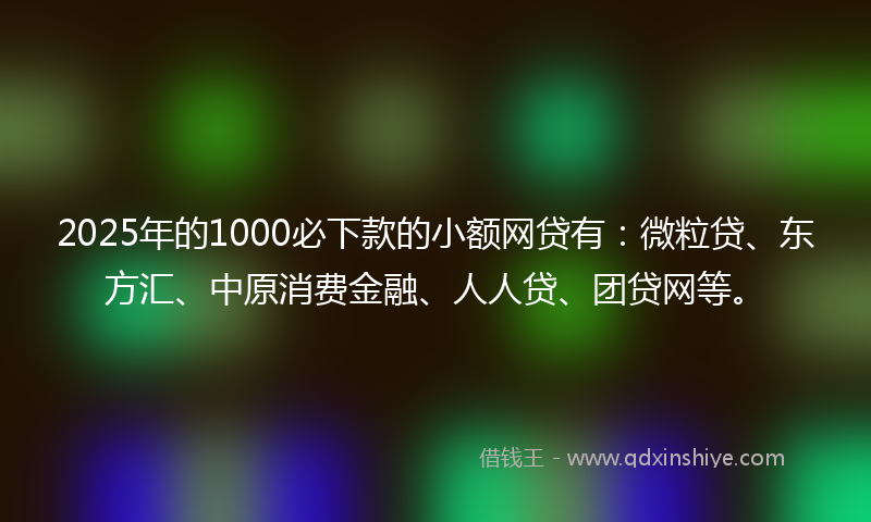 2025年的1000必下款的小额网贷有：微粒贷、东方汇、中原消费金融、人人贷、团贷网等。