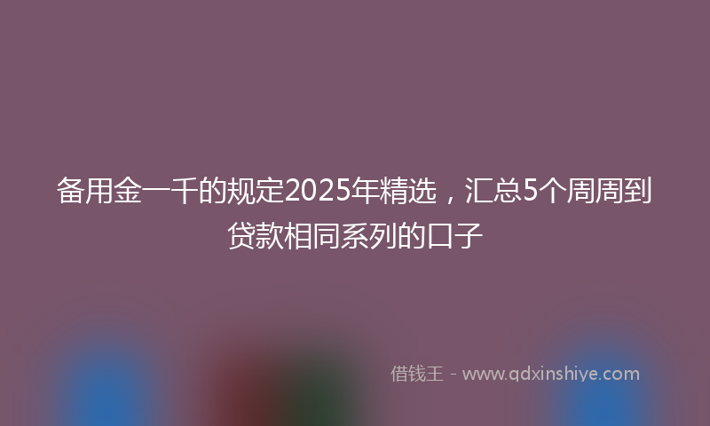 备用金一千的规定2025年精选，汇总5个周周到贷款相同系列的口子