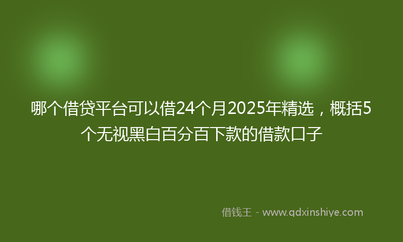 哪个借贷平台可以借24个月2025年精选，概括5个无视黑白百分百下款的借款口子