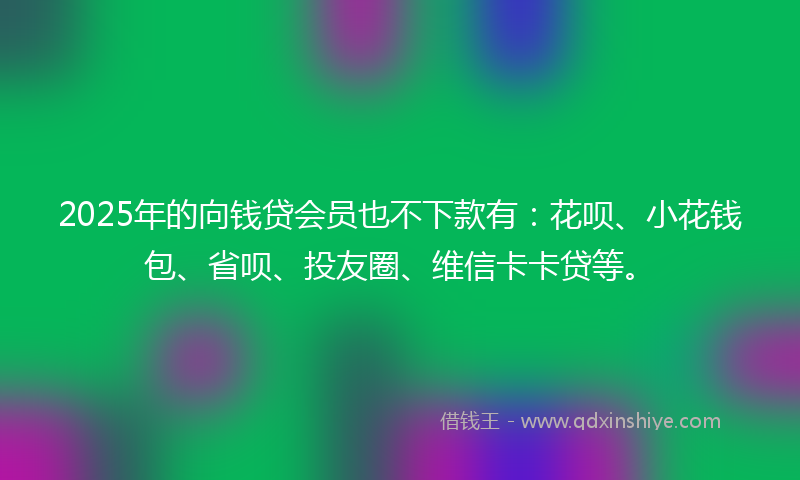 2025年的向钱贷会员也不下款有：花呗、小花钱包、省呗、投友圈、维信卡卡贷等。