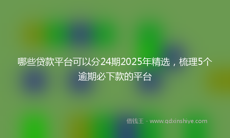 哪些贷款平台可以分24期2025年精选，梳理5个逾期必下款的平台