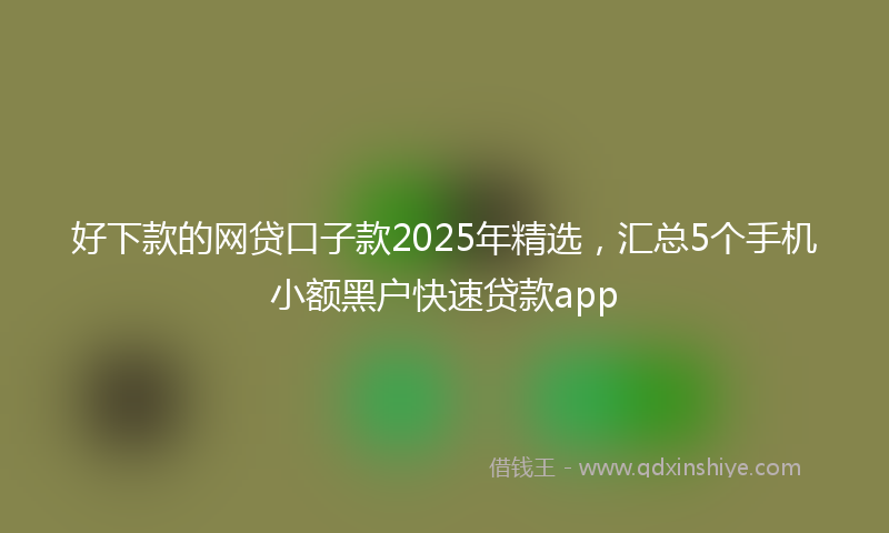 好下款的网贷口子款2025年精选，汇总5个手机小额黑户快速贷款app