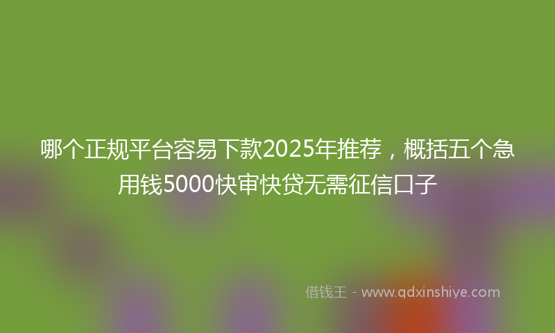 哪个正规平台容易下款2025年推荐，概括五个急用钱5000快审快贷无需征信口子