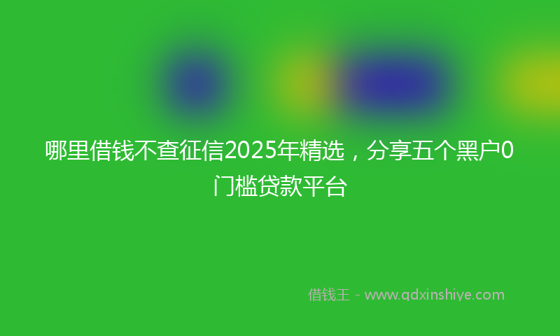哪里借钱不查征信2025年精选，分享五个黑户0门槛贷款平台