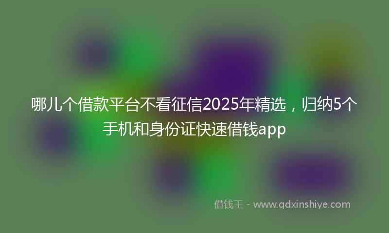 哪儿个借款平台不看征信2025年精选，归纳5个手机和身份证快速借钱app